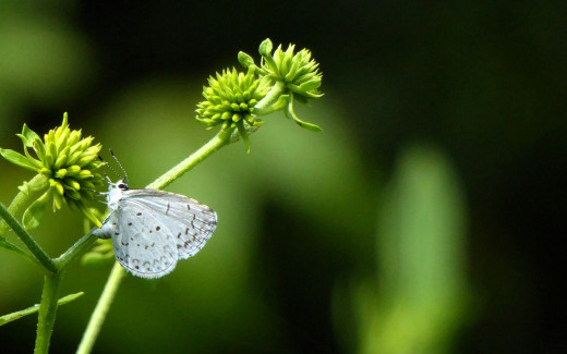 1754069 (a): :1920x1200